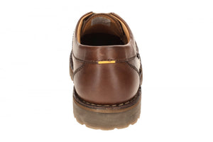 Camel Active Doha